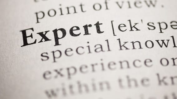 Expert definition